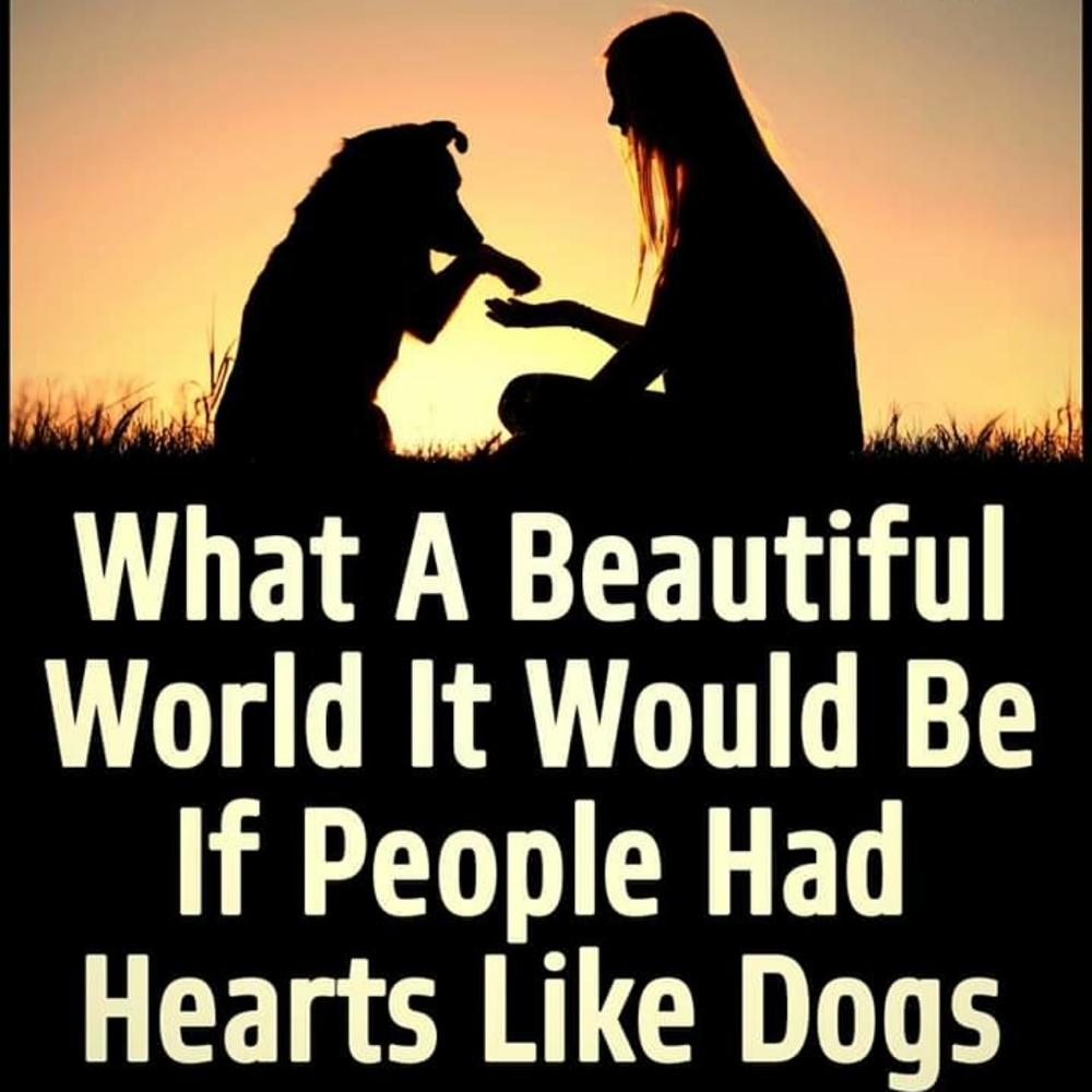 🐾Sale🐾